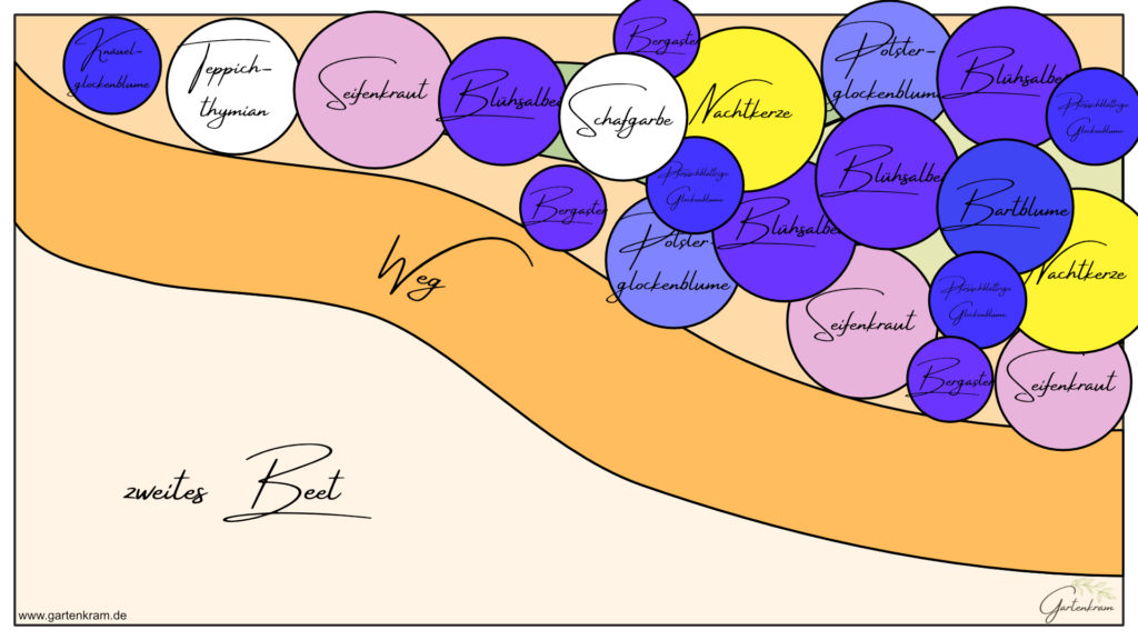 Skizze eines Pflanzplans mit verschiedenen Stauden darunter: Nachtkerze, Schafgarbe, Seifenkraut, Blühsalbei, Teppichthymian, Bartblume und Knäuelglockenblume