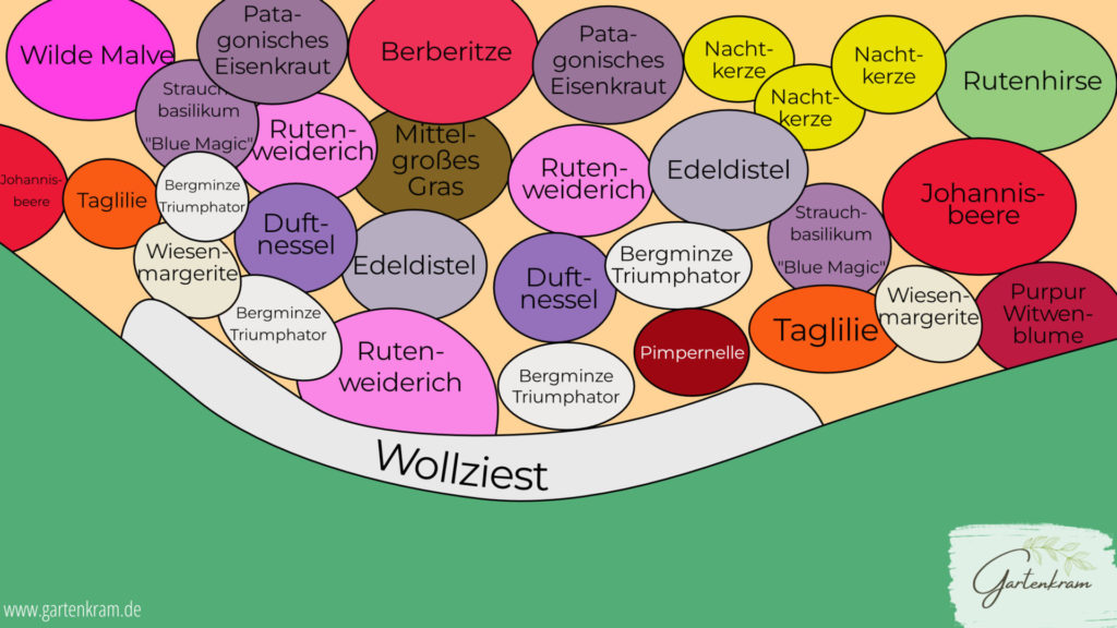 Pflanzplan meines Staudensbeetes