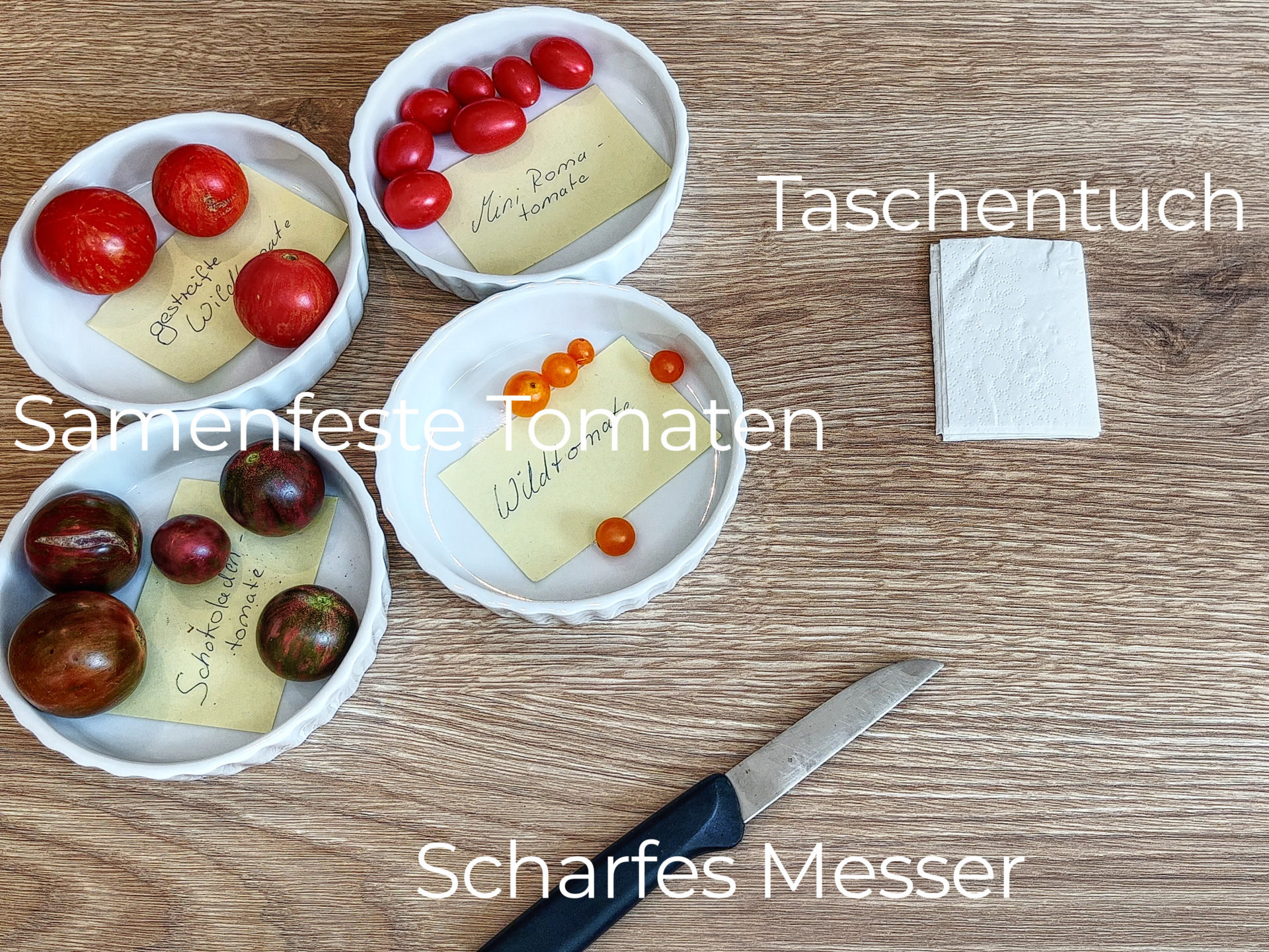 Tomatensamen gewinnen 5 simple Schritte zum eigenen Saatgut Gartenkram
