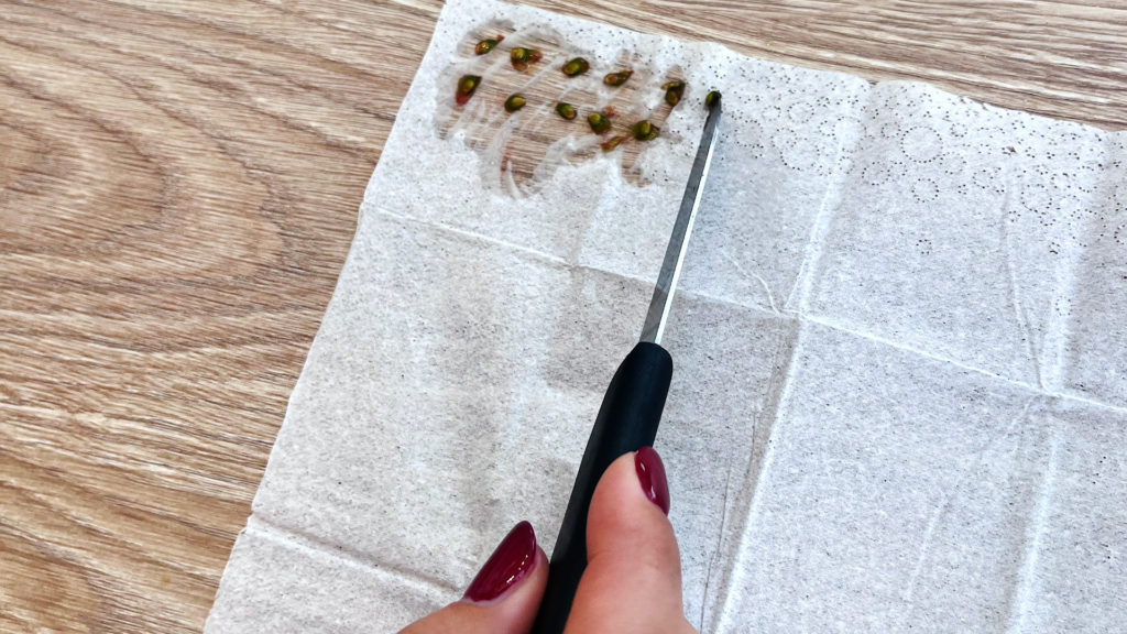 Tomatensamen auf Papier in Reihe setzen