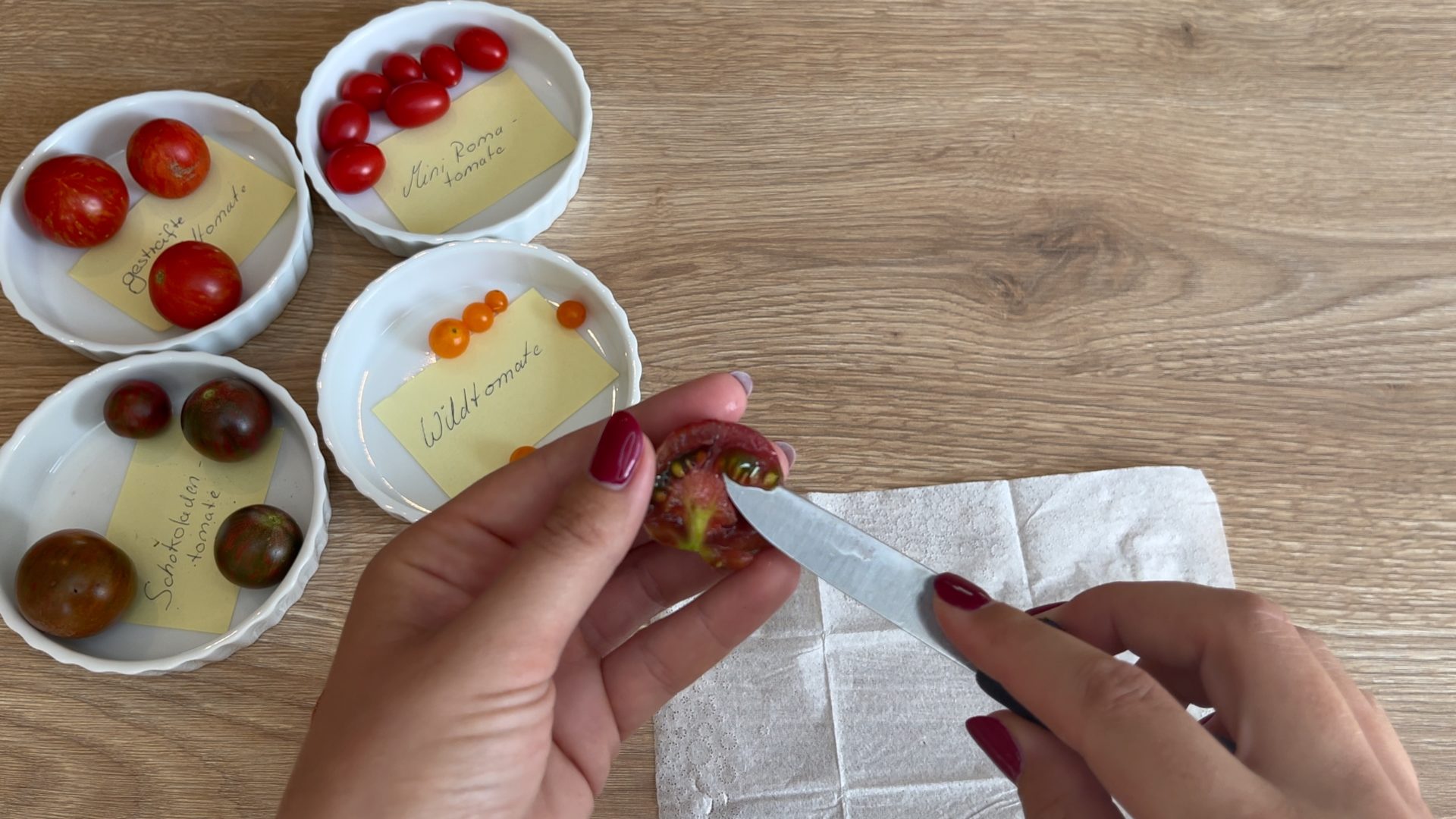 Tomatensamen gewinnen 5 simple Schritte zum eigenen Saatgut Gartenkram