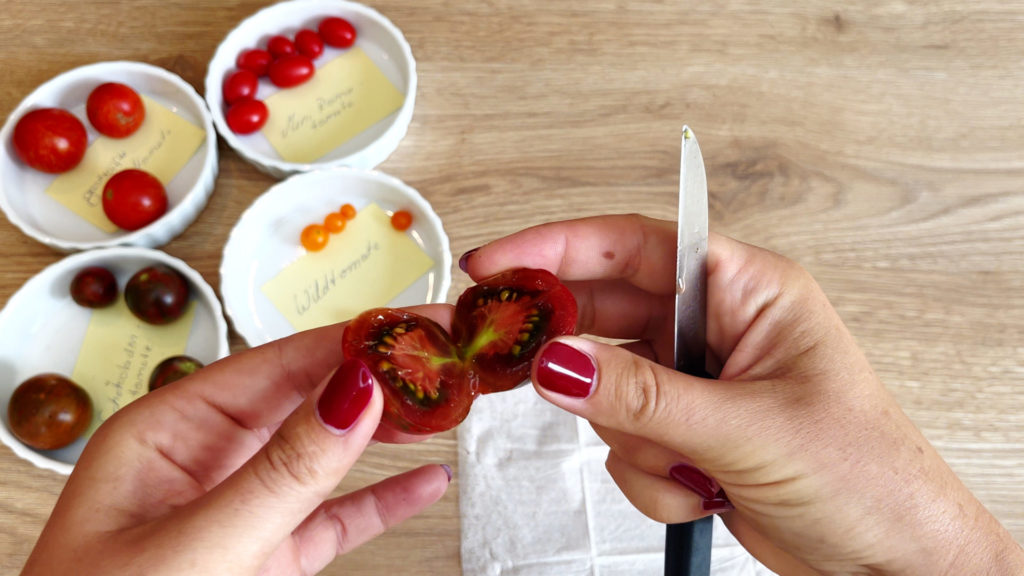 Tomaten am Stielansatz aufschneiden