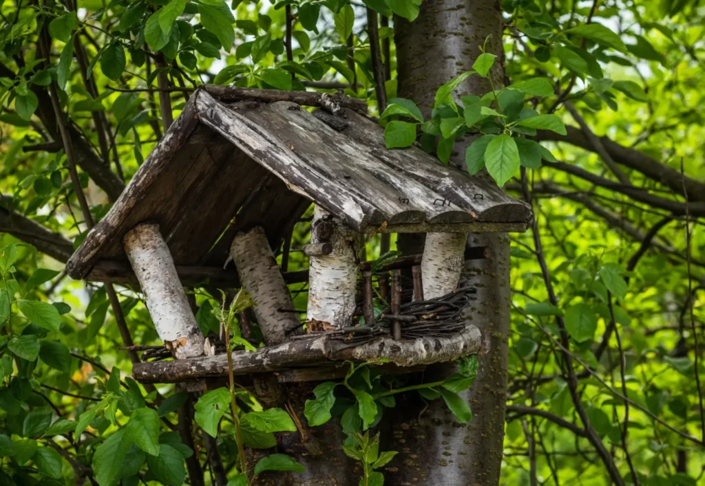In einem Vogelfutterhaus kann man Gartenvögel geschützt mit Vogelfutter füttern.