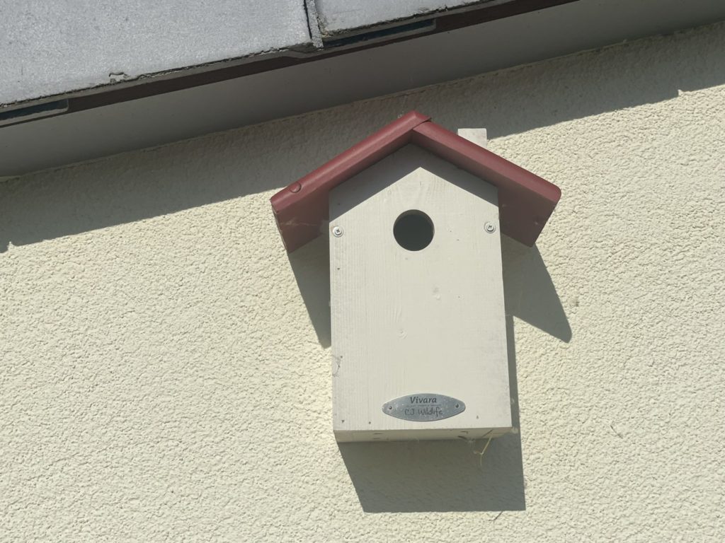 Vogelhäuschen reinigen